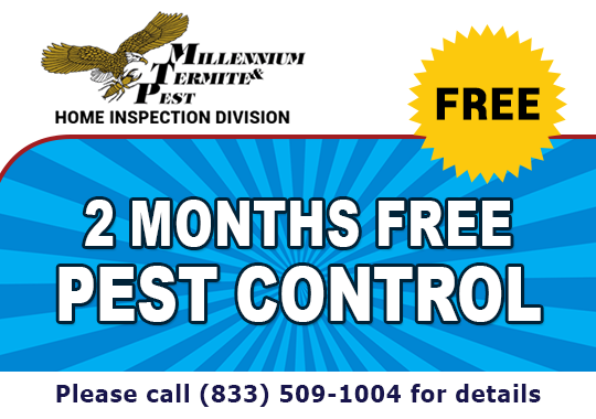 2 Months Free Pest Control - Call For Details