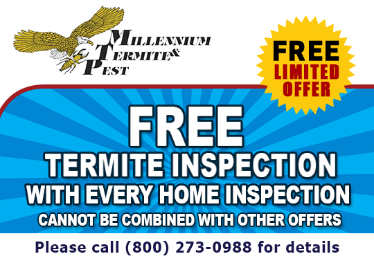 Free Termite Inspection with Every Home Inspection - Call For Details- Call For Details